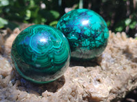 Polished Flower Banded Malachite Gemstone Eggs x 6 From Congo