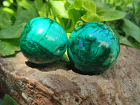 Polished Flower Banded Malachite Gemstone Eggs x 6 From Congo