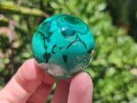 Polished Flower Banded Malachite Gemstone Eggs x 6 From Congo