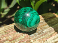 Polished Flower Banded Malachite Gemstone Eggs x 6 From Congo