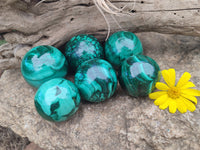 Polished Flower Banded Malachite Gemstone Eggs x 6 From Congo