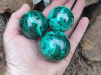 Polished Flower Banded Malachite Gemstone Eggs x 6 From Congo