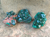 Natural Dioptase On Dolomite Specimens x 6 From Likasi, Congo