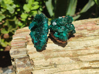 Natural Dioptase On Dolomite Specimens x 6 From Likasi, Congo