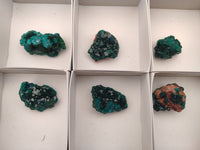 Natural Dioptase On Dolomite Specimens x 6 From Likasi, Congo