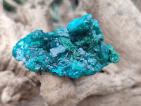 Natural Dioptase On Dolomite Specimens x 6 From Likasi, Congo