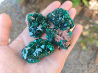 Natural Dioptase On Dolomite Specimens x 6 From Likasi, Congo