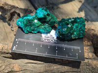 Natural Dioptase On Dolomite Specimens x 6 From Likasi, Congo