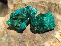 Natural Dioptase On Dolomite Specimens x 6 From Likasi, Congo