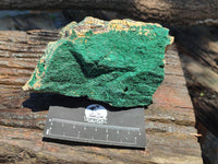 Natural Botryoidal Malachite Specimens x 2 From Tenke Fungurume, Congo