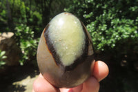 Polished Large Septerye Eggs - Sold Per Item - From Madagascar