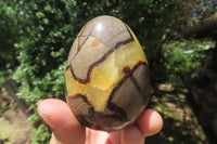 Polished Large Septerye Eggs - Sold Per Item - From Madagascar