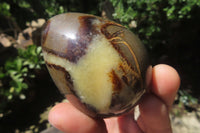 Polished Large Septerye Eggs - Sold Per Item - From Madagascar