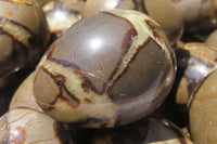 Polished Medium Septerye Eggs - Sold Per Item - From Madagascar