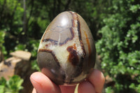 Polished Medium Septerye Eggs - Sold Per Item - From Madagascar