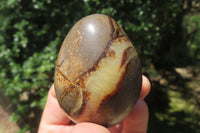 Polished Medium Septerye Eggs - Sold Per Item - From Madagascar