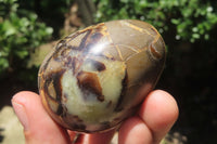 Polished Medium Septerye Eggs - Sold Per Item - From Madagascar