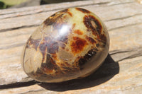 Polished Medium Septerye Eggs - Sold Per Item - From Madagascar