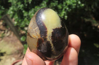 Polished Medium Septerye Eggs - Sold Per Item - From Madagascar