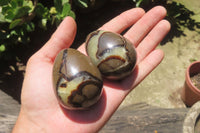 Polished Medium Septerye Eggs - Sold Per Item - From Madagascar