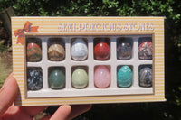 Polished Mixed Box Set of 12 Gemstone Eggs - Sold Per Box - From Southern Africa