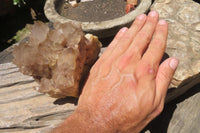 Natural Smokey Phantom Quartz Clusters x 2 From Luena, Congo