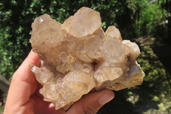 Natural Smokey Phantom Quartz Clusters x 2 From Luena, Congo