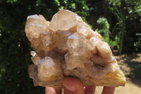 Natural Smokey Phantom Quartz Clusters x 2 From Luena, Congo