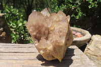 Natural Smokey Phantom Quartz Clusters x 2 From Luena, Congo