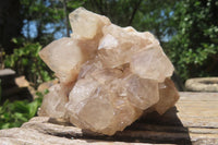 Natural Smokey Phantom Quartz Clusters x 2 From Luena, Congo