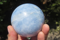 Polished Blue Calcite  Spheres - Sold per Item - From Madagascar