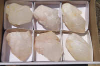 Natural Quartz Crystal Specimens x 6 From Madagascar