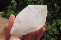 Natural Quartz Crystal Specimens x 6 From Madagascar