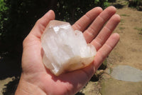 Natural Quartz Crystal Specimens x 6 From Madagascar