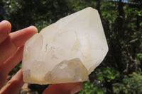 Natural Quartz Crystal Specimens x 6 From Madagascar