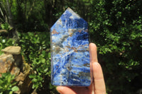 Polished Sodalite Points x 2 From Namibia