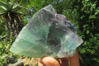 Natural Watermelon Fluorite Cobbed Specimens x 9 From Uis, Namibia