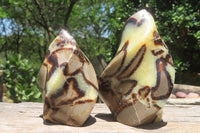 Polished Septerye Flame Sculptures x 6 From Madagascar