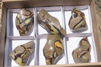 Polished Septerye Flame Sculptures x 6 From Madagascar