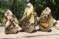 Polished Septerye Flame Sculptures x 6 From Madagascar