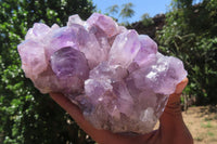 Natural Jacaranda Amethyst Quartz Clusters x 2 from Mumbwa, Zambia