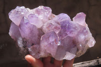 Natural Jacaranda Amethyst Quartz Clusters x 2 from Mumbwa, Zambia