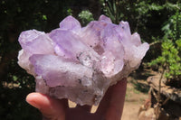 Natural Jacaranda Amethyst Quartz Clusters x 2 from Mumbwa, Zambia