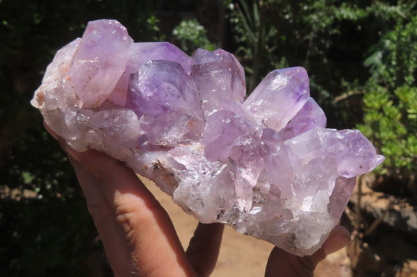 Natural Jacaranda Amethyst Quartz Clusters x 2 from Mumbwa, Zambia