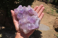 Natural Jacaranda Amethyst Quartz Clusters x 2 from Mumbwa, Zambia