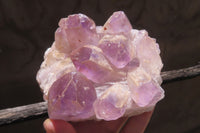 Natural Jacaranda Amethyst Quartz Clusters x 2 from Mumbwa, Zambia