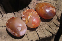 Polished Flower Agate Palm Stones x 12 From Madagascar