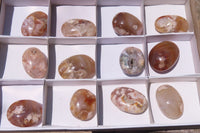 Polished Flower Agate Palm Stones x 12 From Madagascar