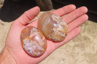 Polished Flower Agate Palm Stones x 12 From Madagascar