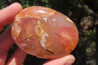 Polished Flower Agate Palm Stones x 12 From Madagascar